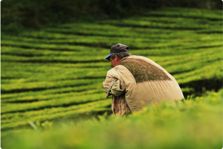 Sustainable development