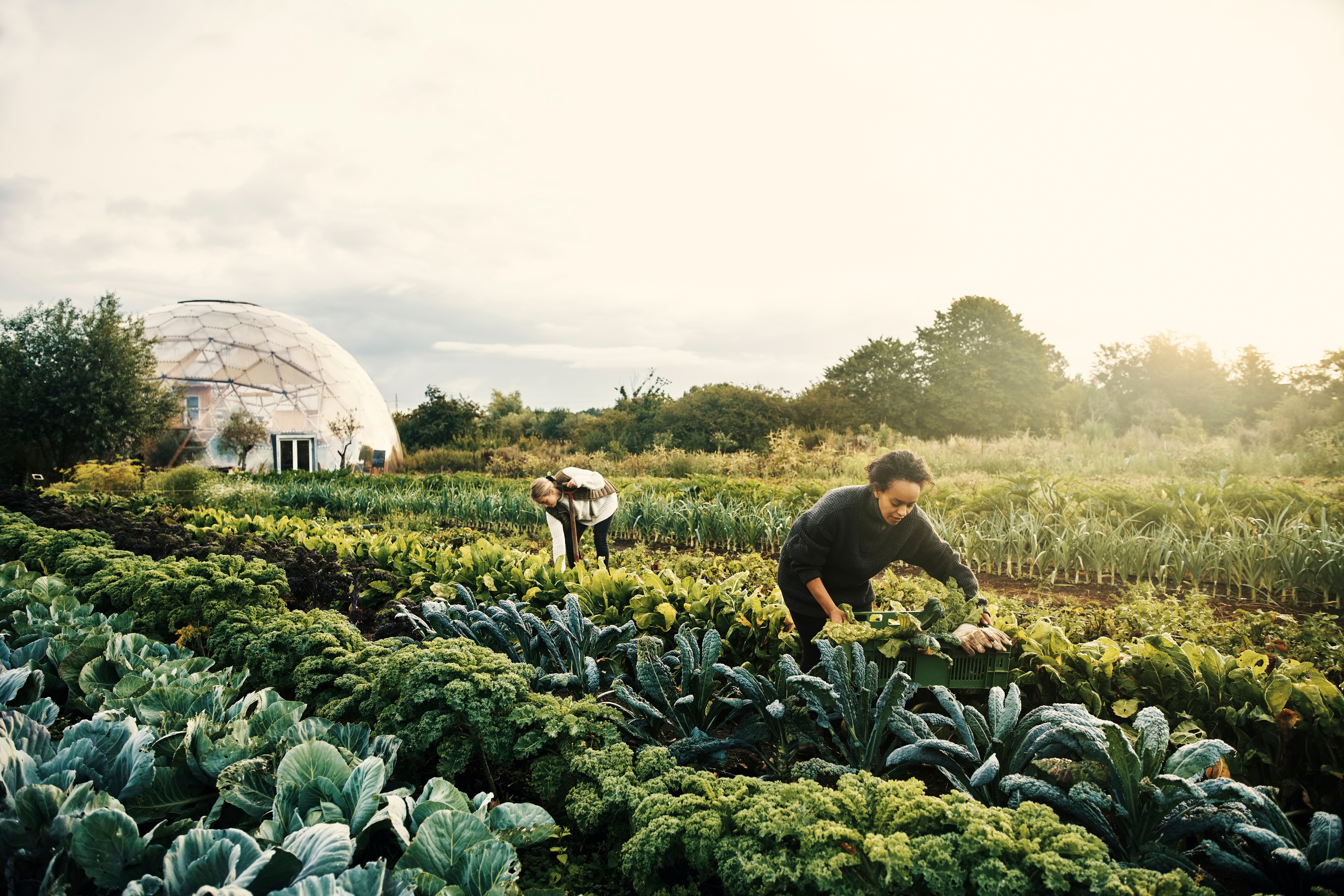 Shot of two young women working on a smallholder farm